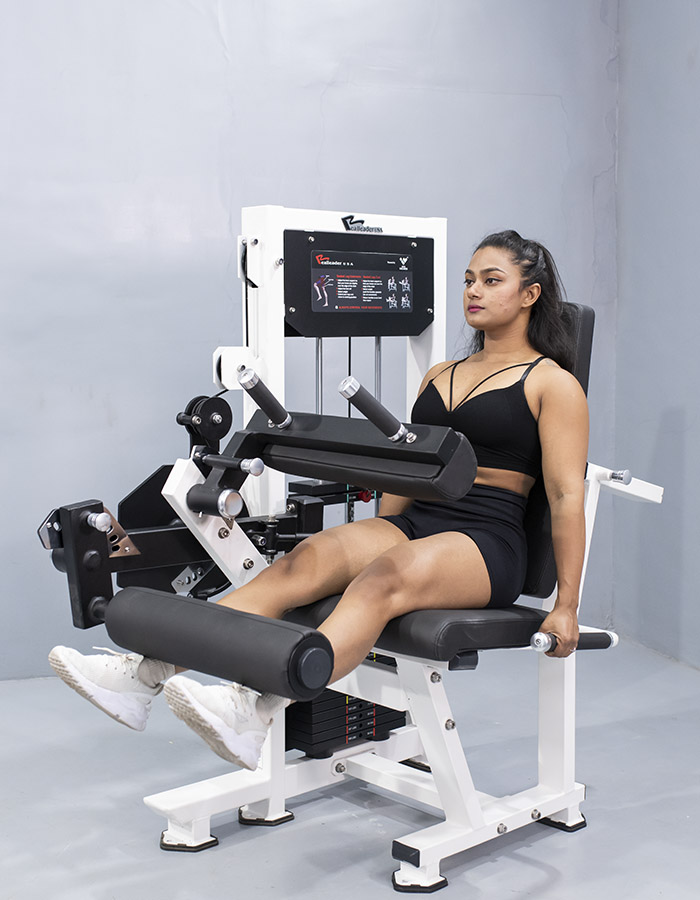 Seated Leg Curl/Extension - TD 1007A - Into Wellness