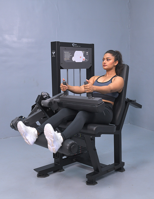 Seated Leg Curl Muscles Worked Seated Leg Curl Muscles Worked