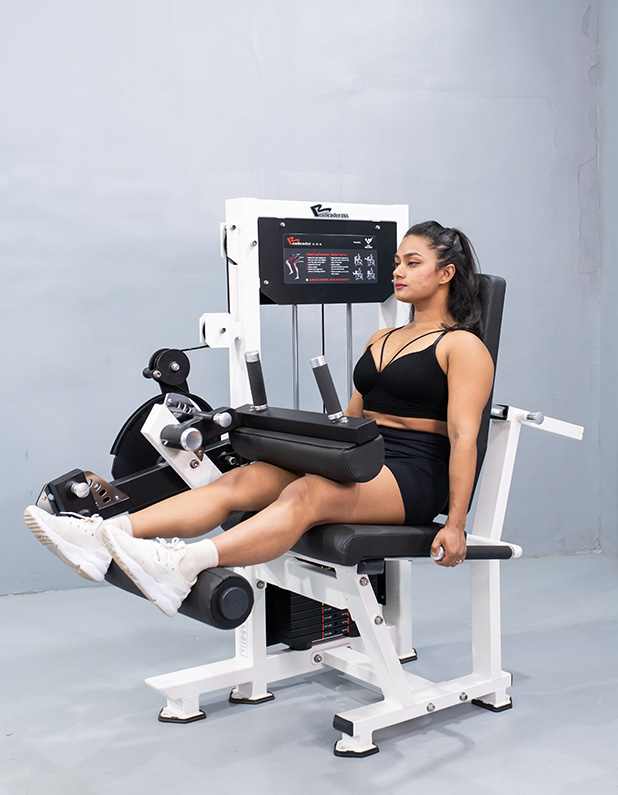 Seated Leg Curl