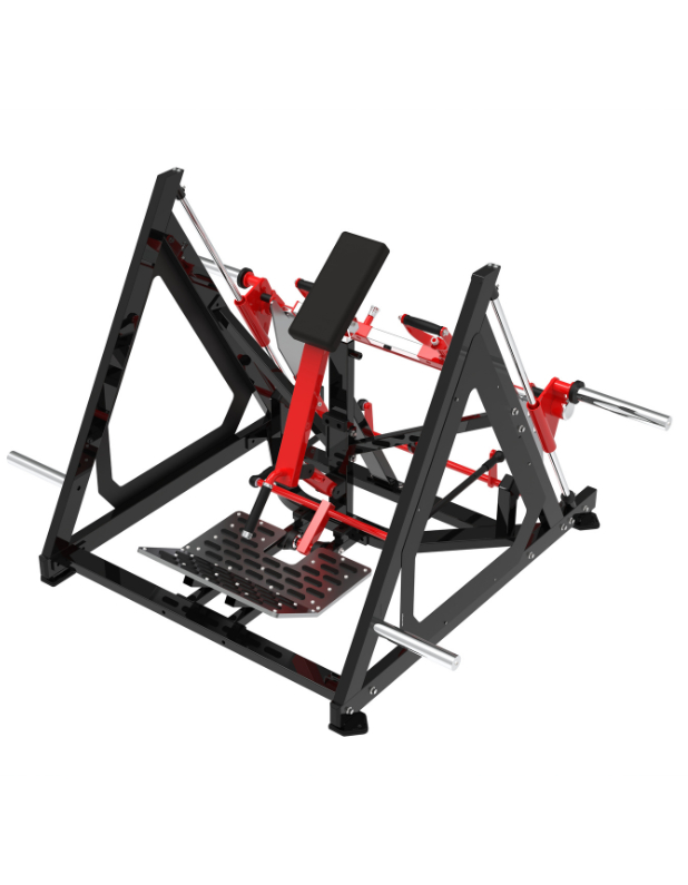 Bent Over Row - HS 2004